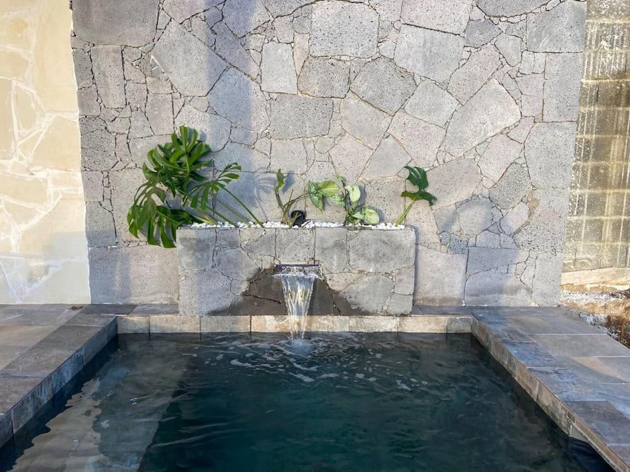 סן-לואי Cocoon Love Avec Piscine Privative מראה חיצוני תמונה