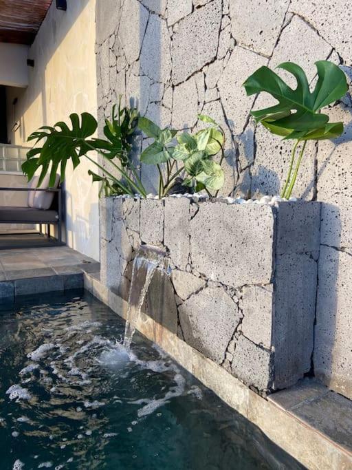 סן-לואי Cocoon Love Avec Piscine Privative מראה חיצוני תמונה